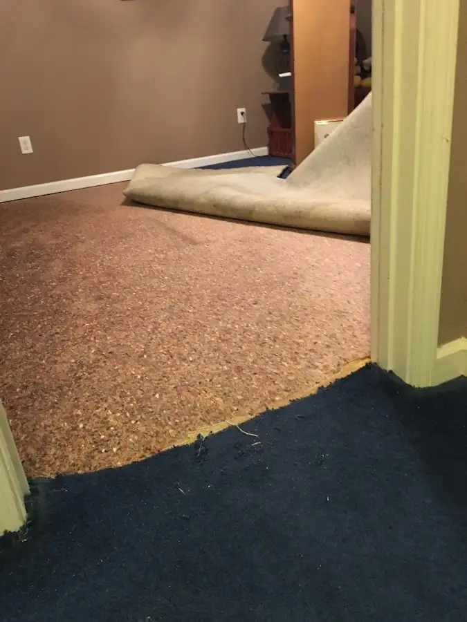 Carpet pad removal revealing water damage during Drying & Dehumidification in Chartiers