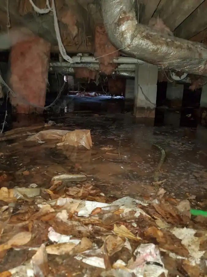 Crawl space flood assessment for Leak Detection & Repair in Chartiers
